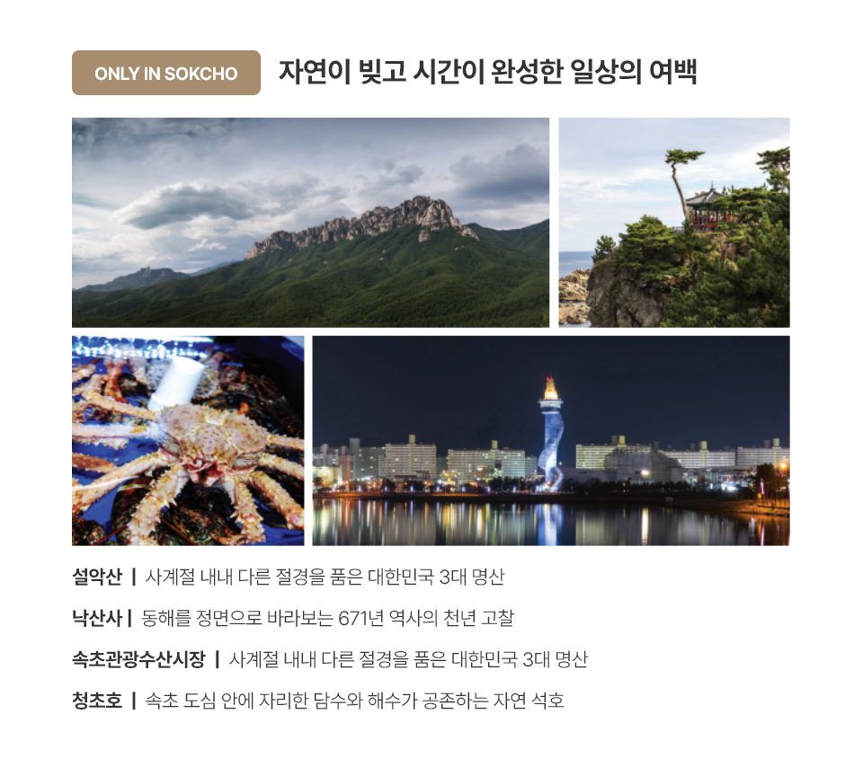 입지환경 콘텐츠