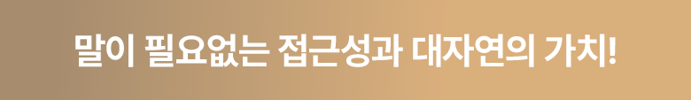 브릿지 배너 5