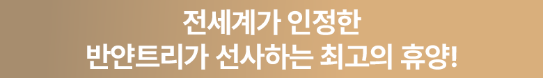 브릿지 배너 9